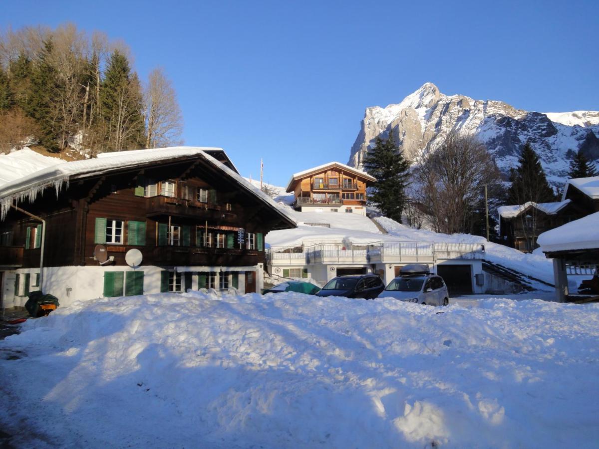 Chalet Engi Apt 1 For Up To 8 People Grindelwald Dış mekan fotoğraf