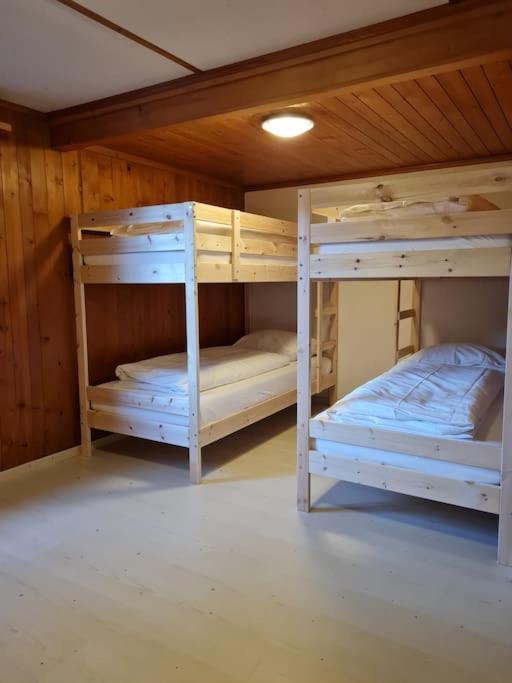 Chalet Engi Apt 1 For Up To 8 People Grindelwald Dış mekan fotoğraf