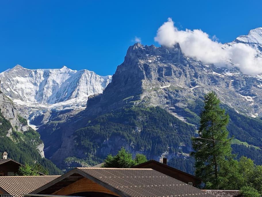 Chalet Engi Apt 1 For Up To 8 People Grindelwald Dış mekan fotoğraf