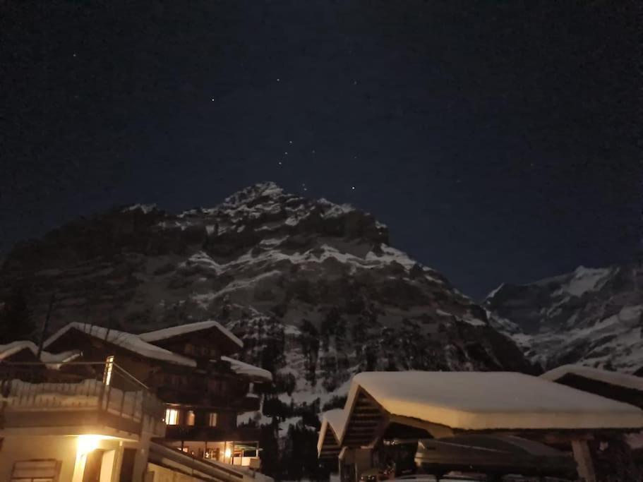 Chalet Engi Apt 1 For Up To 8 People Grindelwald Dış mekan fotoğraf