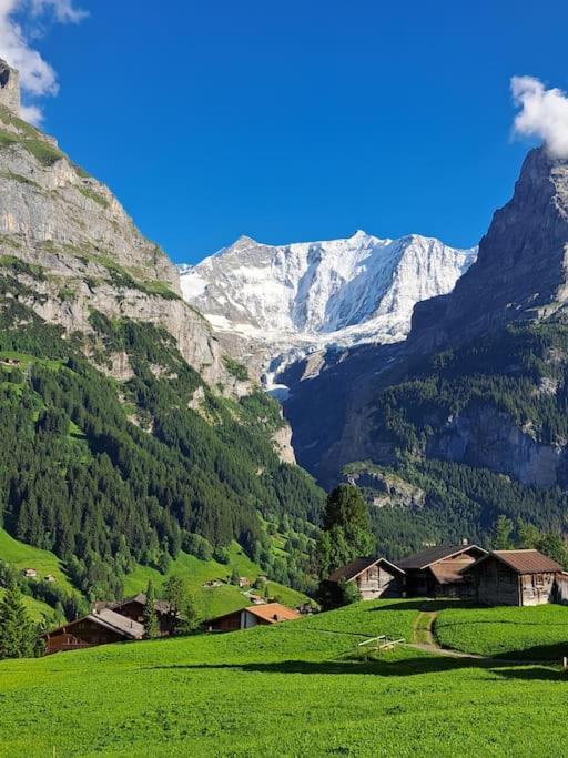 Chalet Engi Apt 1 For Up To 8 People Grindelwald Dış mekan fotoğraf